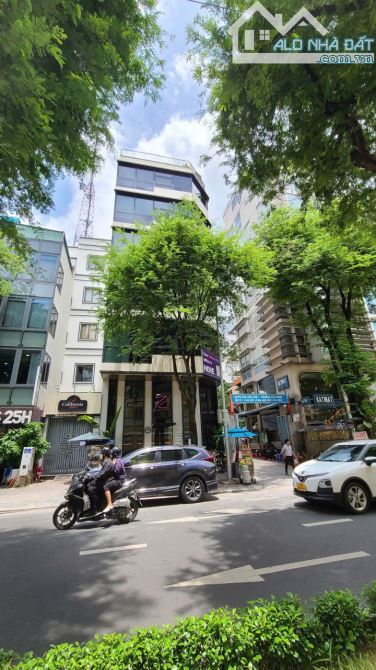 Toà nhà - Góc 2MT - Ngang 8m - 8 Tầng -  Nguyễn Bỉnh Khiêm, P.Dakao, Quận 1 - Giá: 65 Tỷ - 1