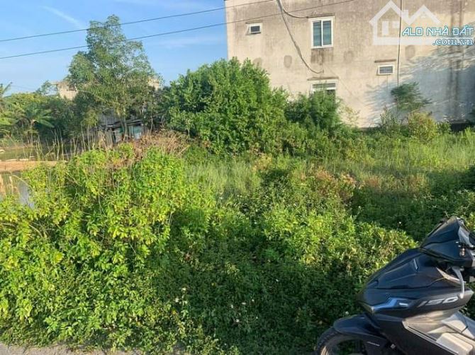Bán lô đất đường nhựa 48m2 Tân Thành giá hơn 1 tỷ - 1