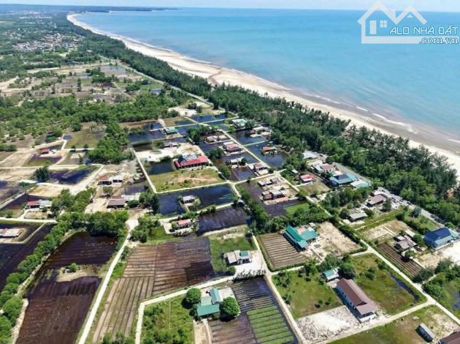 🌴 ĐẤT BIỂN TRUNG TÂM DU LỊCH – GIÁ HẤP DẪN - 1
