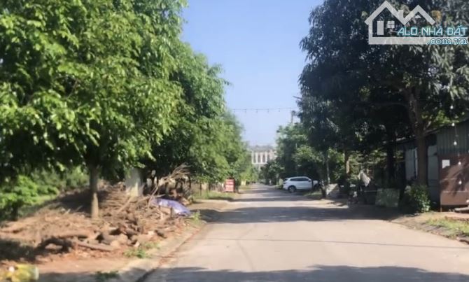 Bán đất thổ cư 170m2 Nghi Phú- Nghệ An - Mặt tiền rộng 10m - Vị trí đẹp- Chỉ 13 Tỷ - 1