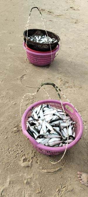 💎 ĐẤT BIỂN GIÁ RẺ – ĐẦU TƯ AN TOÀN, LỢI NHUẬN CAO - 1
