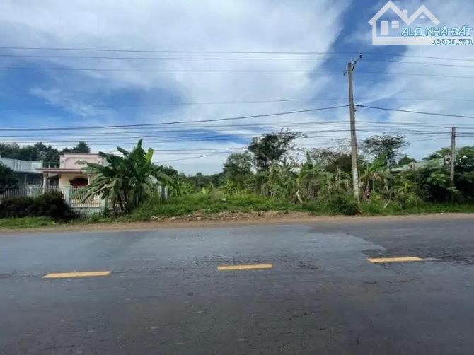 BÁN  LÔ ĐẤT MT 765 TẠI CẨM MỸ ĐỒNG NAI, DT 750M2 CÓ 80tc, MT NHỰA KHU DÂN CƯ 30M, 2.4 TI - 1