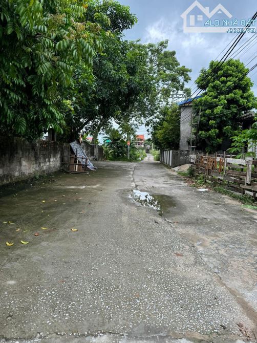 🏡 1,65 tỷ Đất 76m² mặt tiền 4.6m – Tổ 7 Thị trấn An Dương – An cư lý tưởng - 1