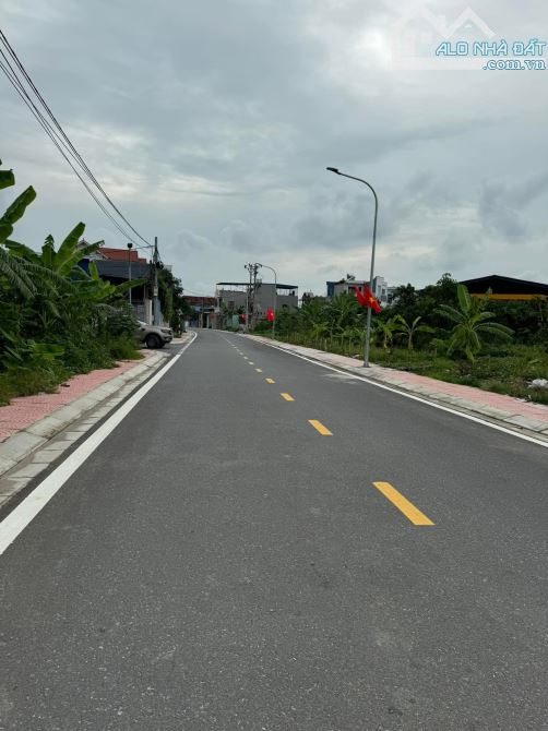 Bán đất Mặt Đường Lương Quán, Nam Sơn – An Dương, Hải Phòng | Diện tích 98,7m², ngang 4,9m - 1