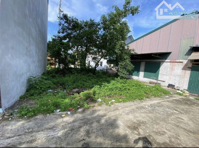 Lô đấy đẹp 103m tại phú nghĩa- Chương mỹ giáp KCN giá chỉ hơn 3 tỷ - 1