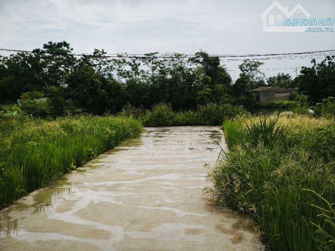 PHÂN KHÚC HỮU HẠN- HÀNG XÓM ĐẠI DỰ ÁN HỒNG HẠC PHÚ MỸ HƯNG- TƯƠNG LAI SÁNG - 1