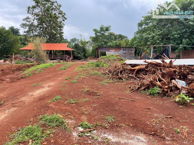 💥Đất TC 5*31m,có 15m,hẻm Nguyễn Đình Chiểu,gần ngay Đô Thị Trung Nguyên,nhiều lô khác - 1