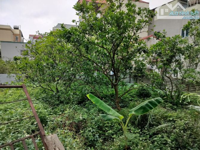 ĐẤT MẶT TIỀN LỚN TÂY MỖ – DIỆN TÍCH KHỦNG - ĐẦU TƯ – 236M² – 27 TỶ (ATL203063) - 1