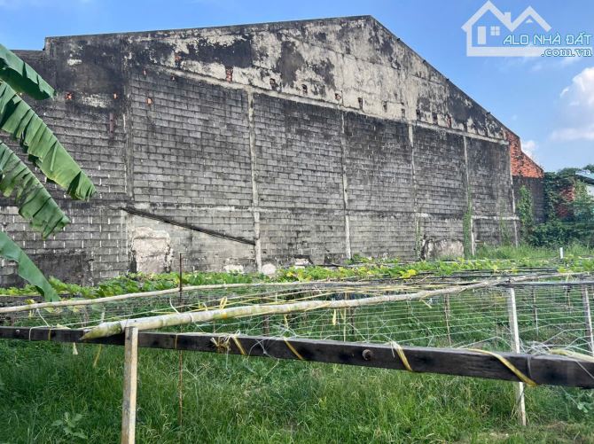 Bán xưởng ngay quốc lộ 51, hơn 3 hecta, giá chỉ 4 triệu/m2(XB054) - 1
