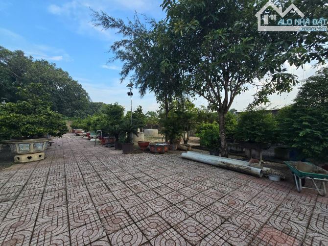.chủ ngộp hạ 22ty. Thương lượng  nhà vườn kiên cố mặt tiền đường nhựa Cây Dầu, xã Phú Hội - 15
