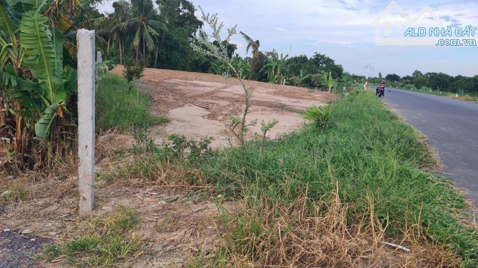 Cần bán khu đất lớn giáp đường tránh QL 30, gần ngã tư giao nhau đường ĐT 846. - 6