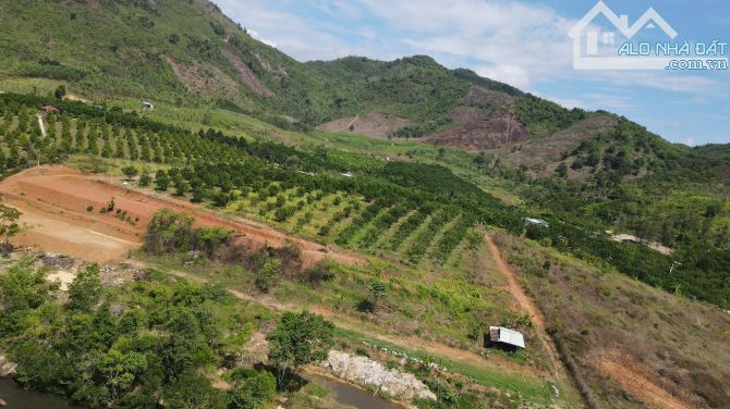 bán đất làm trang trại 17 hecta xã Khánh Phú, Khánh Vĩnh đường oto giá chỉ 57k/m2 - 2