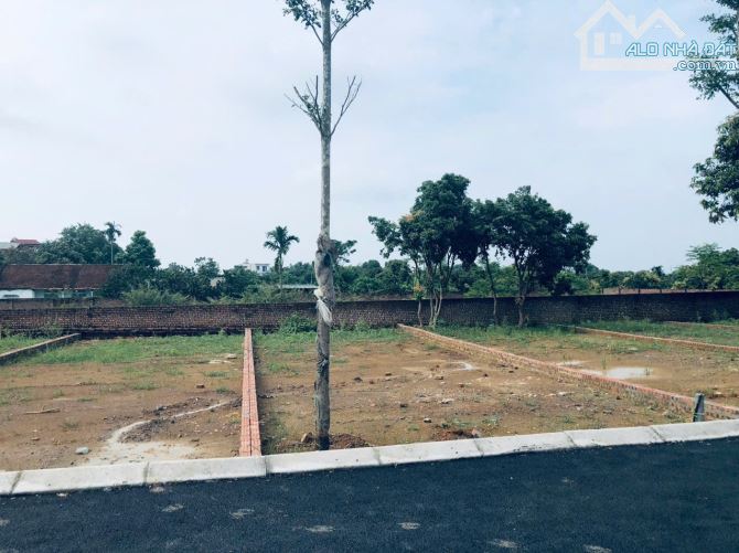 13tr/m2 Đất nền Quất Lâm -Nam Định Giáp Khu Nghỉ Dưỡng Bãi Tắm DT:80m2 Hai Thoáng - 2
