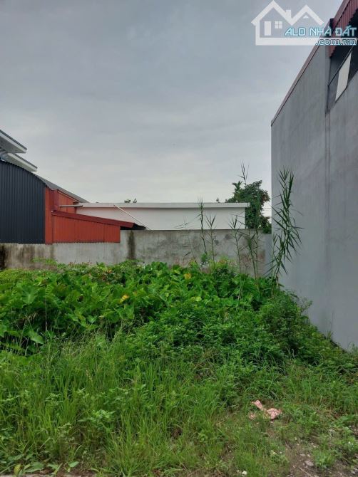 Đất Quỳnh Hoàng, An Dương ô tô ra vào thoải mái chỉ với 1 tỷ đồng - 2