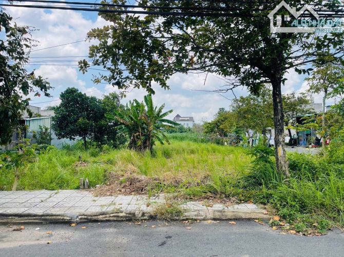 Cần bán đất mặt tiền đường nhựa số 28 Ấp Hậu xã Tân Thông Hội 5x22 110m2 Full Thổ - 2