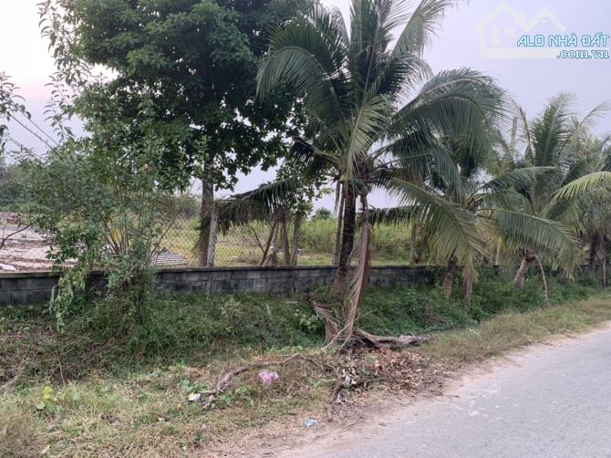 Bán 11,778.6m2 đất tại đường Huỳnh Thị Huề, Thái Mỹ, Củ Chi, TP.HCM - 2