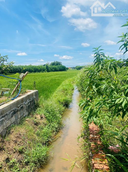 Bán lô đất vườn - Đối diện trường học Láng Dài - Đất Đỏ .BRVT - 2