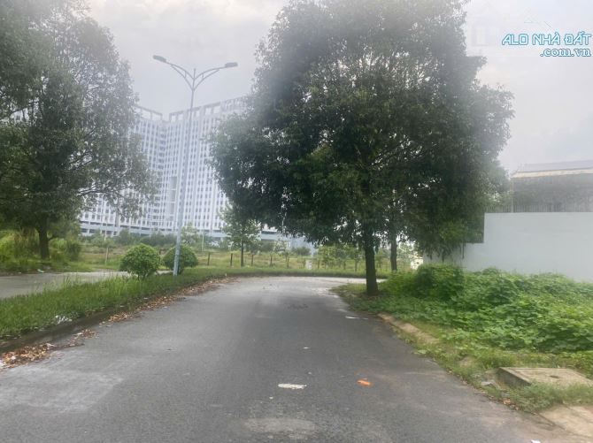 FULL THỔ CƯ SAU LƯNG CHỢ ĐẦU MỐI THỦ ĐỨC, 5,85 tỷ, 123 m2, hàng hiếm - 2