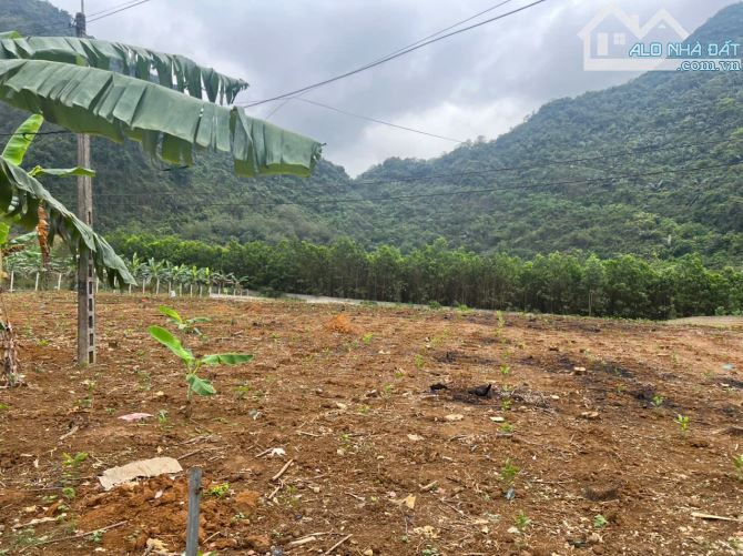 BÁN LÔ ĐẤT ĐẸP- GIÁ CỰC TỐT- 350m2 FULL ĐẤT Ở MẶT ĐƯỜNG MÒN HCM, HƯNG THI, LẠC THỦY - 2