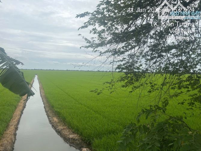 Bán đất 4.084,8m² trung tâm Kiến Tường – Long An - 2
