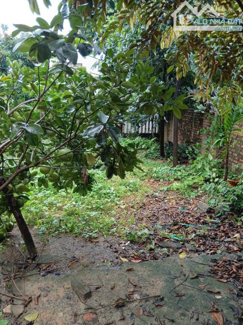 Giảm 200tr, Bán đất chính chủ 45m2 tại Yên Nghĩa, Hà Đông, ô tô tránh - 2
