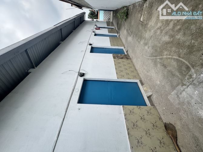 Tây Lân, Bình Trị Đông A, Bình Tân. DT 4,8 x 16, hậu 6m. Giá 4,2 tỷ TL.  🔥🔥Dãy trọ 5 phò - 2