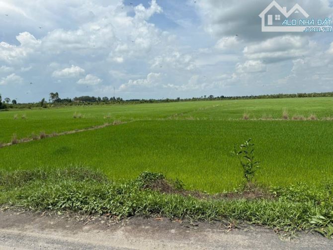 Bán đất tại Xã Hựu Thạnh, Đức Hòa, Long An, 1,1tỷ, 120 m2, giá ưu đãi đẹp - 2