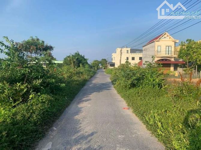 Bán lô đất đường nhựa 48m2 Tân Thành giá hơn 1 tỷ - 2