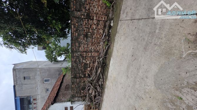 BÁN ĐẤT GẦN VIN ĐAN PHƯỢNG , Ô TÔ TRÁNH  , 2 MẶT NGÕ  ,  ĐẦU TƯ ĐỀU ĐỈNH 74M2, 9 TỶ 25 - 2