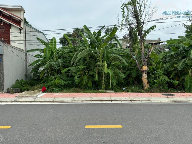 Bán đất Mặt Đường Lương Quán, Nam Sơn – An Dương, Hải Phòng | Diện tích 98,7m², ngang 4,9m - 2