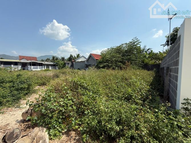 BÁN ĐẤT ĐƯỜNG XUÂN LẠC PHƯỜNG TÂY NHA TRANG (VĨNH NGỌC CŨ), KHÁNH HÒA - 2