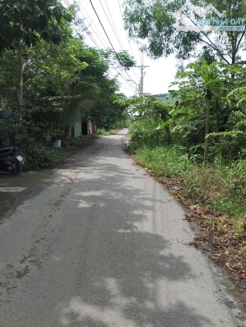 Bán đất Bình Mỹ (xã cũ) gần Hóc Môn, trong khu dân cư xây dựng ngay giá 2 tỷ bớt lộc - 2