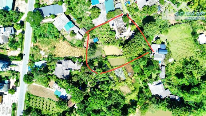 1363m Có 1315m Đất Ở - Cách Quốc Lộ 12b 150m - Có Sẵn Nhà và Ao Trong Đất - 2
