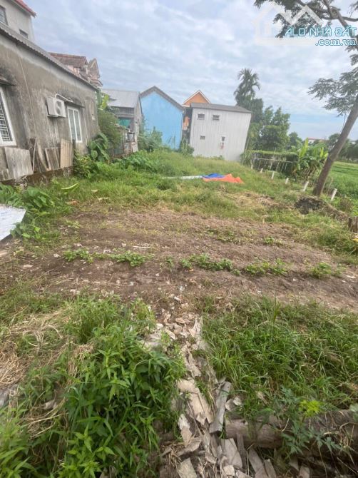 🏡 BÁN GẤP LÔ ĐẤT ĐẸP – DT 353 FUNL THỔ CƯ-ĐƯỜNG NGUYỄN HỮU CẢNH – AN TÂY- TP HUẾ 🏡  📍 - 2