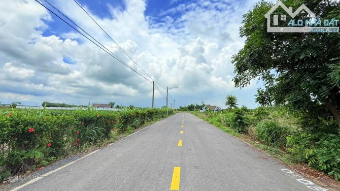 BÁN ĐẤT LÁNG DÀI- ĐẤT ĐỎ- BRVT ✅Cách Quốc lộ 55 chỉ 1km; đi về Melia Hồ Tràm 10 phút - 2