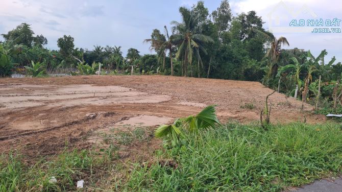 Cần bán khu đất lớn giáp đường tránh QL 30, gần ngã tư giao nhau đường ĐT 846. - 7