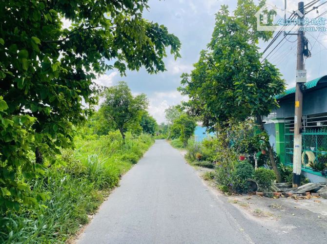 Cần bán đất mặt tiền đường nhựa số 28 Ấp Hậu xã Tân Thông Hội 5x22 110m2 Full Thổ - 3