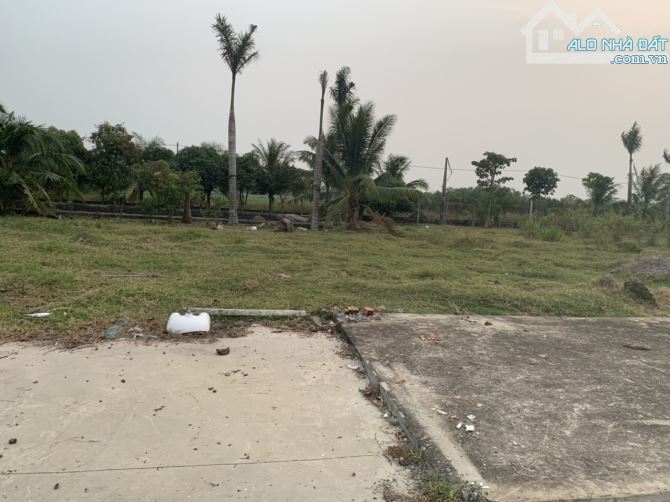 Bán 11,778.6m2 đất tại đường Huỳnh Thị Huề, Thái Mỹ, Củ Chi, TP.HCM - 3