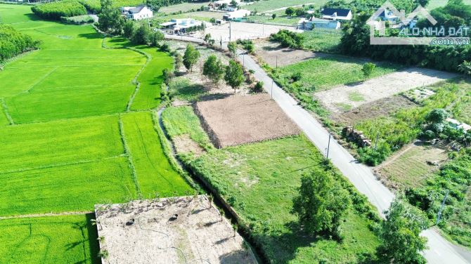 Bán lô đất vườn - Đối diện trường học Láng Dài - Đất Đỏ .BRVT - 3
