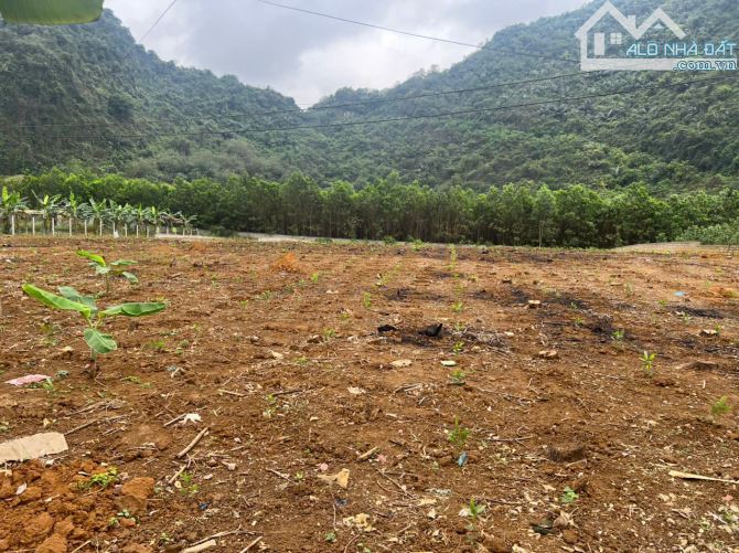 BÁN LÔ ĐẤT ĐẸP- GIÁ CỰC TỐT- 350m2 FULL ĐẤT Ở MẶT ĐƯỜNG MÒN HCM, HƯNG THI, LẠC THỦY - 3