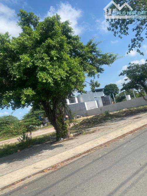 Bán gấp lô đất 146.8m2, 4,2 tỷ tại Trần Hải Phụng, Bình Tân, Bán gấp, giá thấp. - 3