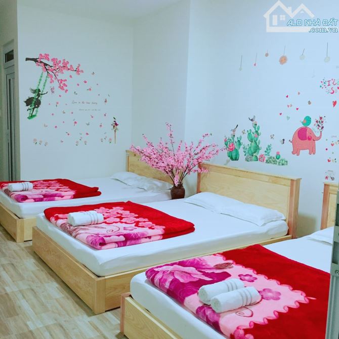 💎 Bán Nhà nghỉ Đà Lạt – Vị trí đắc địa, doanh thu ổn định, giá chỉ 6,7 tỷ - 3