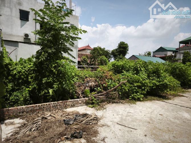 PHÂN KHÚC HIẾM - ĐẤT TRÍ QUẢ - Ô TÔ VÀO NHÀ - GẦN ĐẠI ĐÔ THỊ - SỔ ĐỎ CHÍNH CHỦ! - 3