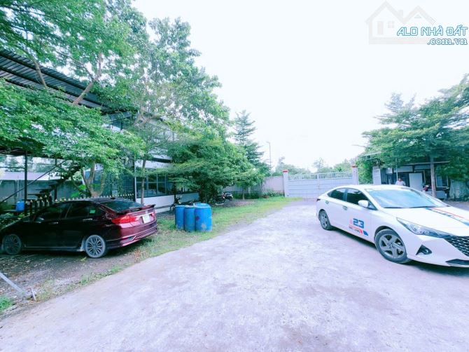XT477 Cho Thuê Nhà Xưởng khuôn viên sân bãi rộng 6000m2 Gần KCN Tân An Vĩnh Cửu Giá rẻ - 3