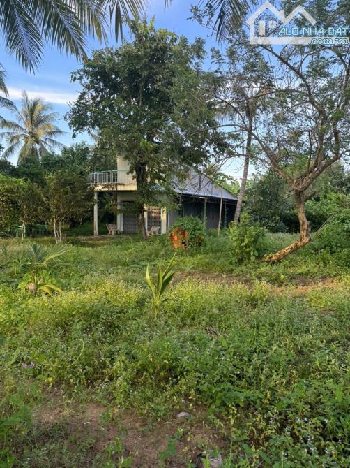Cho thuê 3.000m² đất mặt tiền đường Quốc Lộ 54 và mặt sau giáp sông Trà Ôn - 3
