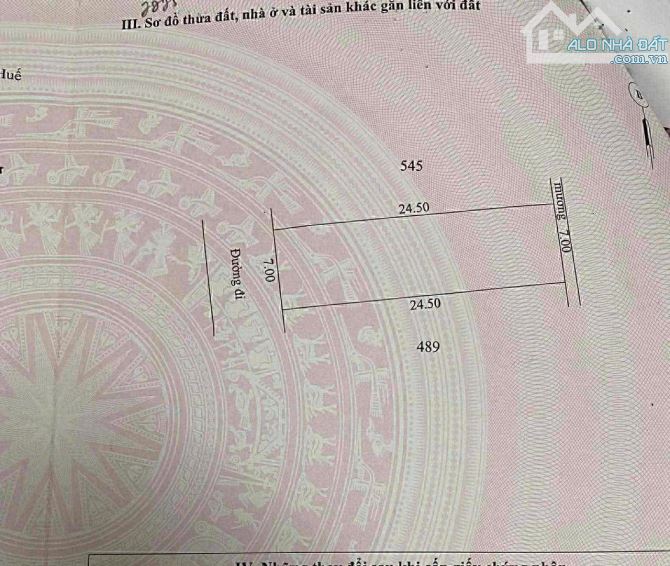 🎯🎯ĐẤT MẶT TIỀN ĐÀO DUY TÙNG - XÓM 2 NGỌC ANH, TP HUẾ - 3