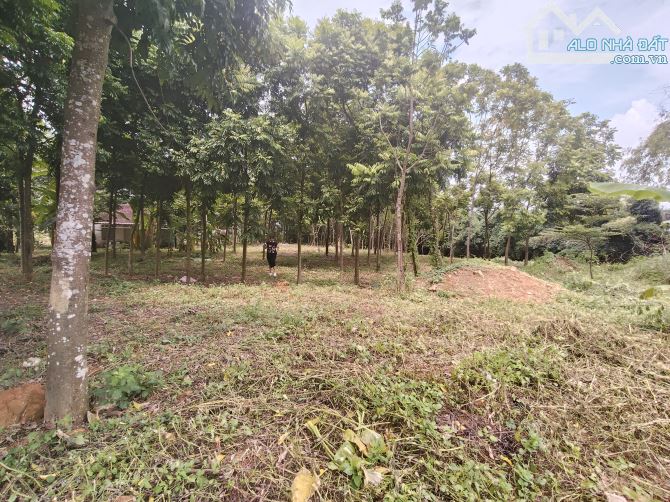 Cần bán 2.240 m tại huyện Trạch rất phù hợp để phân lô nghỉ dưỡng giá 5.x triệu /mét - 3