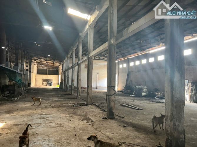 Bán xưởng ngay quốc lộ 51, hơn 3 hecta, giá chỉ 4 triệu/m2(XB054) - 3