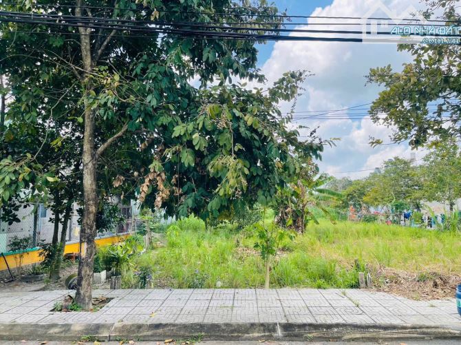 Cần bán đất mặt tiền đường nhựa số 28 Ấp Hậu xã Tân Thông Hội 5x22 110m2 Full Thổ - 4
