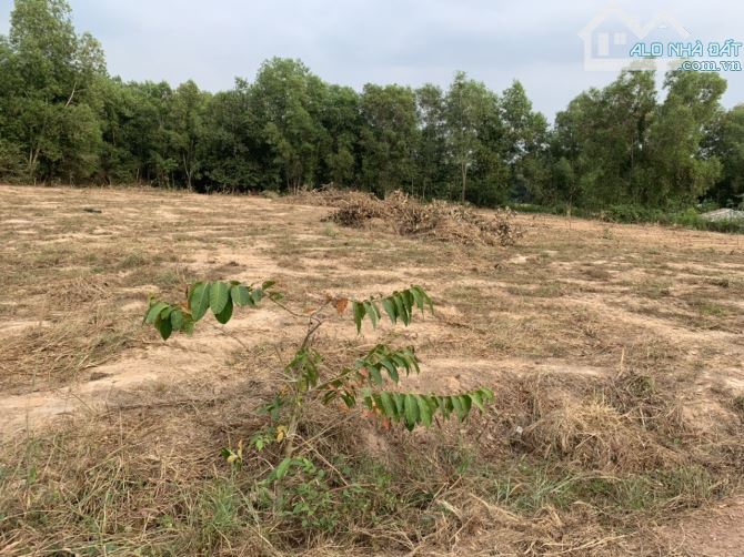 Bán 4,007.5m2 đất tại đường Tăng Thị Hội, An Nhơn Tây, Củ Chi, TP.HCM - 4